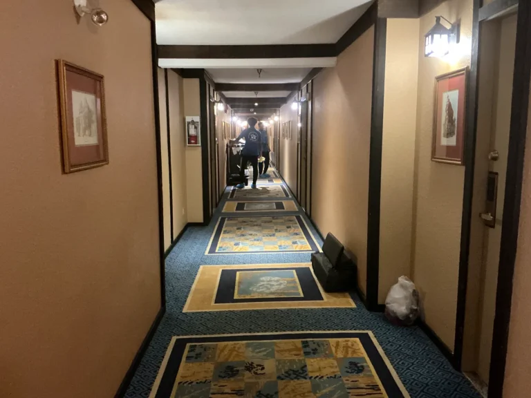Hotel hallway with patterned carpet runners and a cleaner at the far end